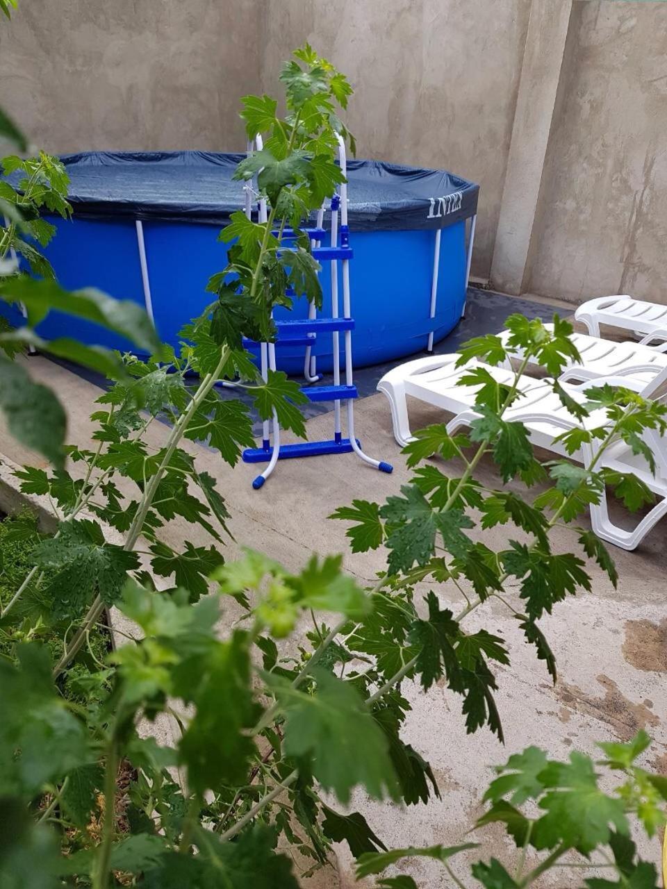 Appartamento Fishmen Tbilisi Esterno foto
